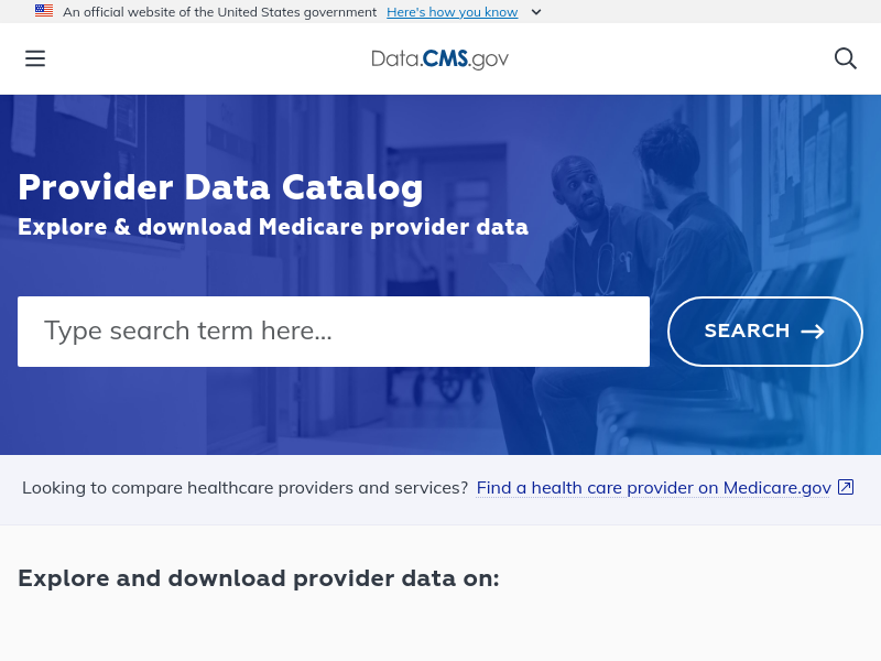 Screenshot of CMS data provider API website