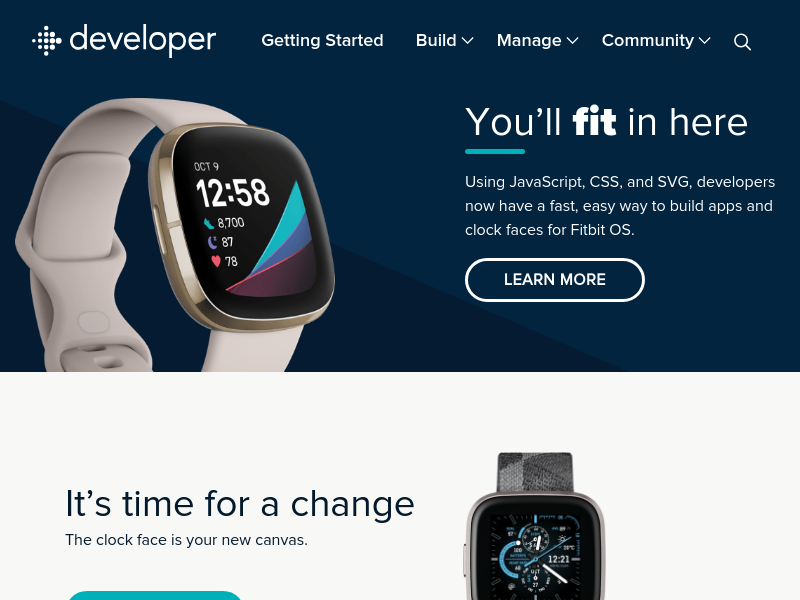 Screenshot of Fitbit API website