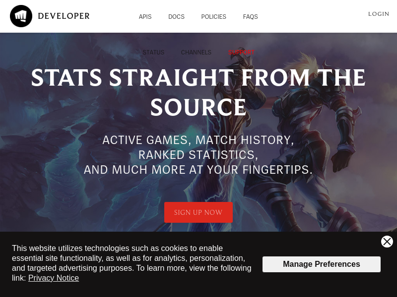 Screenshot of Riot Games API website