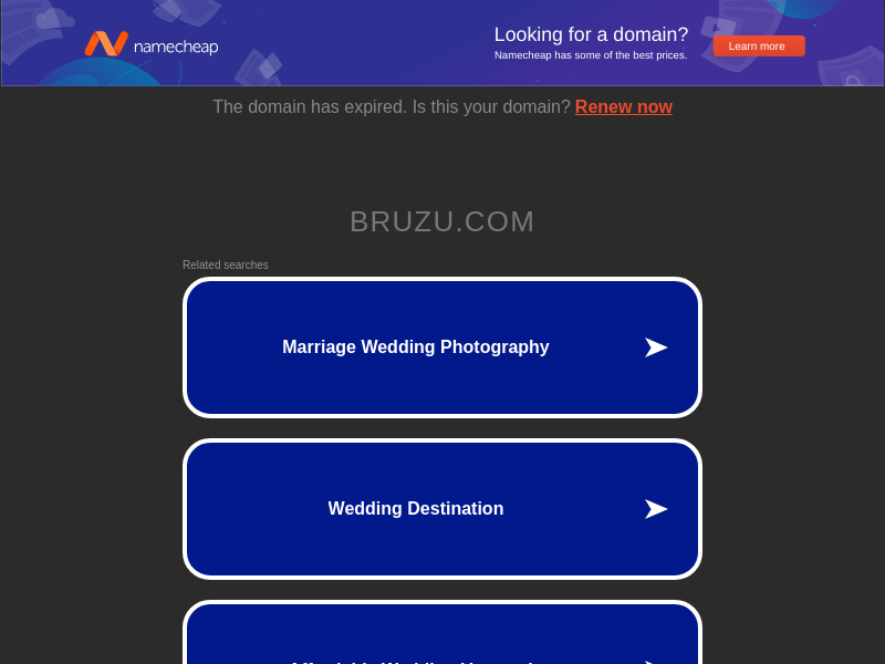 Screenshot of Bruzu website