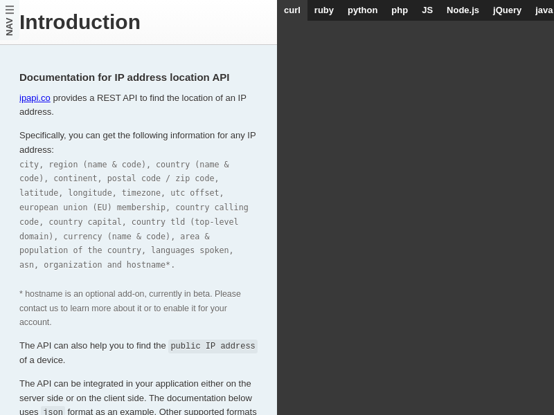 Screenshot of IP API website