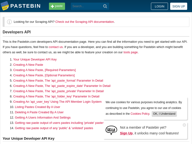 Screenshot of Pastebin API website