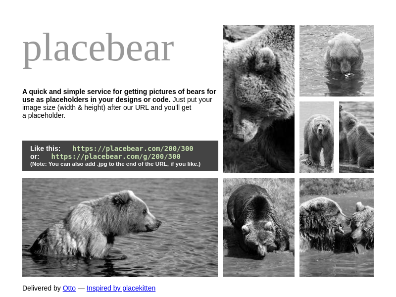 Screenshot of Placebear website