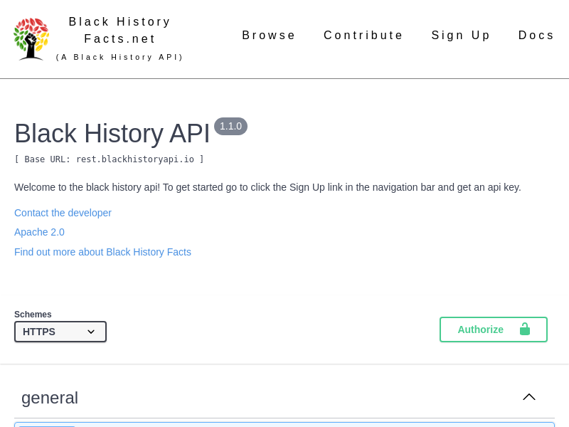 Screenshot of Black History API website