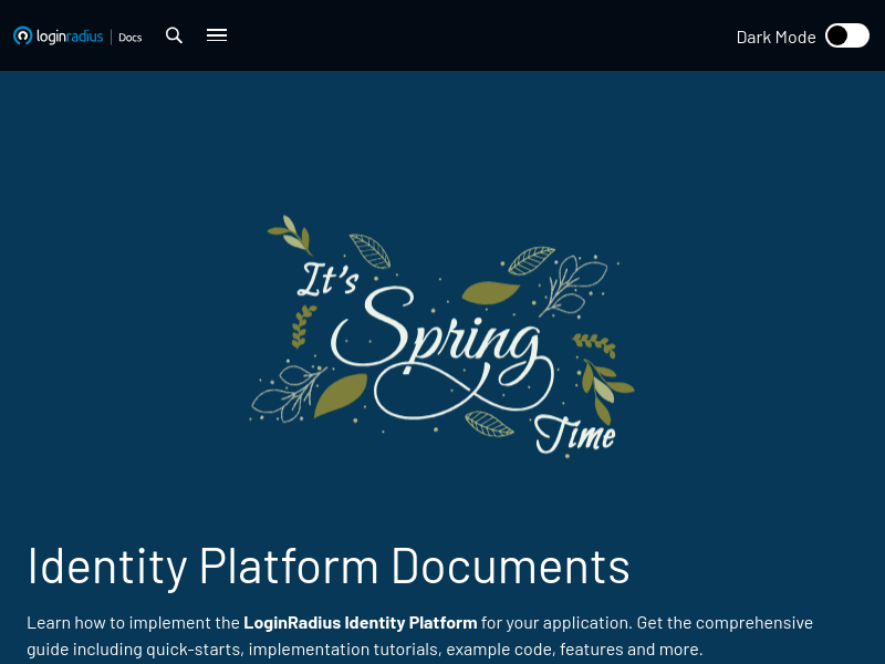 Screenshot of LoginRadius API website
